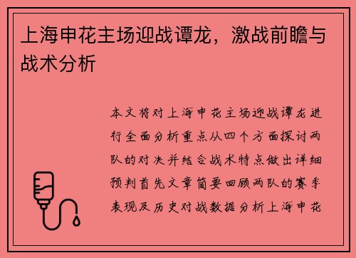 上海申花主场迎战谭龙，激战前瞻与战术分析